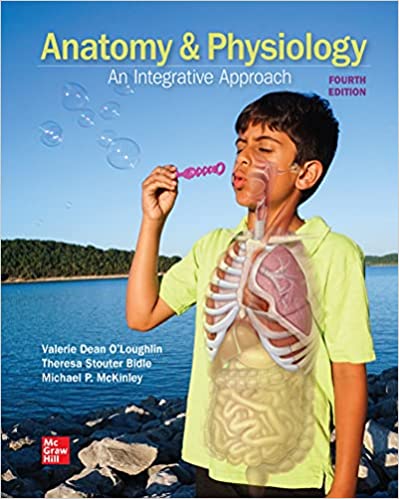 Anatomy & Physiology An Integrative Approach 4th Edition By Michael Mckinley And Valerie O'loughlin And Theresa Bidle 2022 Test Bank