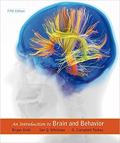 An Introduction To Brain And Behavior 5th Edition By Bryan Kolb Ian Q. Whishaw G. Campbell Teskey Test Bank.jpg