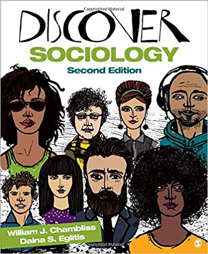 Discover Sociology 2nd J. Chambliss S. Eglitis Test Bank Sage .jpg