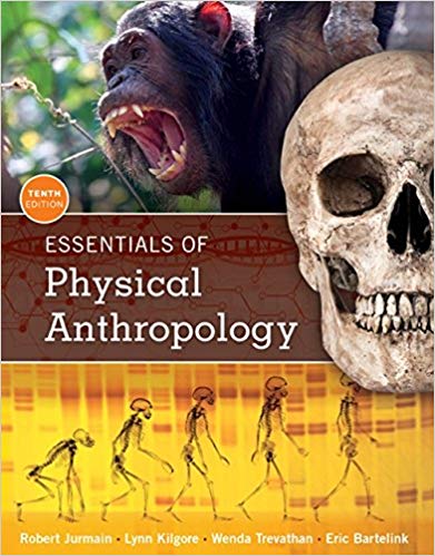 Essentials Of Physical Anthropology 10th Edition Robert Jurmain Lynn Kilgore Wenda Trevathan Eric Bartelink Test Bank.jpg