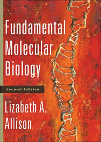 Fundamental Molecular Biology 2nd Edition Allison Test Bank 1.jpg