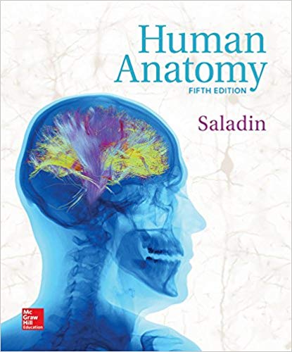 Human Anatomy 5e Kenneth S. Saladin Test Bank.jpg