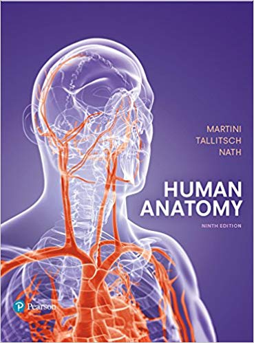 Human Anatomy 9e Frederic H. Martini Robert B. Tallitsch Judi L. Nath Test Bank.jpg