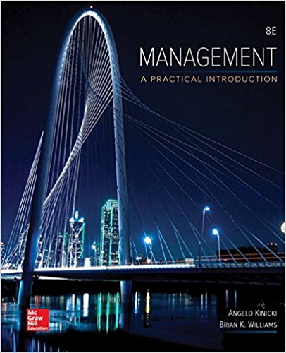 Management 8e Angelo Kinicki Brian K. Williams Test Bank.jpg