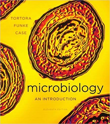 Microbiology An Introduction 11e Gerard J. Tortora Berdell R. Funke Christine L. Case Test Bank.jpg