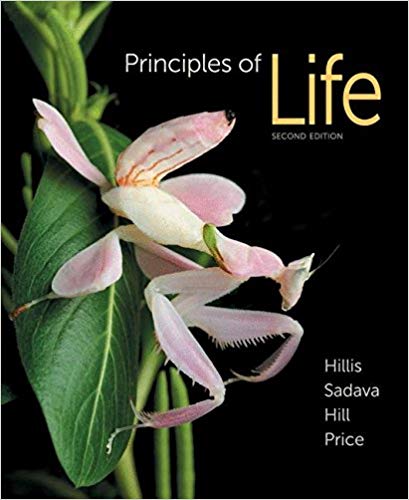 Principles Of Life 2nd Edition By David M. Hillis David E. Sadava W. Hill V. Price Test Bank Freeman Publisher 1 1.jpg